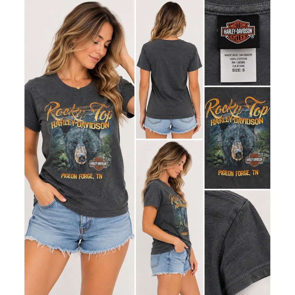 Harley-Davidson Rocky Top Pigeon Forge TN Bear Graphic T-Shirt Small Gray